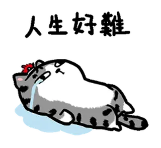 😭 mèo, buồn, khóc, hoạt hình, nhãn dán telegram sticker