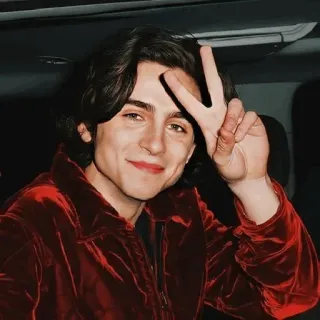 📯 Timothée Chalamet célébrité, acteur, signe de paix, homme, portrait telegram sticker