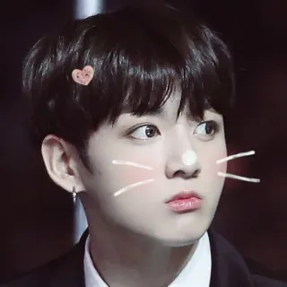 🌺 kpop, idol, retrato, beleza, fofo, coração, bigodes de gato telegram sticker
