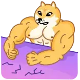 😠 doge, hond, meme, gespierd, spieren, grappig, internet meme whatsapp sticker