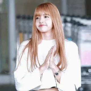 💕 Lisa kpop, cantora, idol, mulher, mulher, aeroporto whatsapp sticker