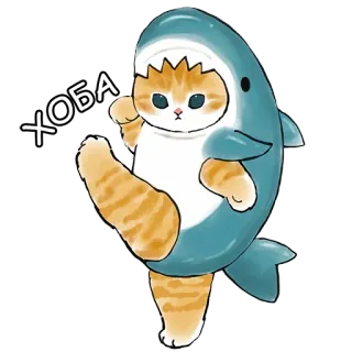 👍 ХОБА 猫, 鲨鱼, 动物, 可爱, 有趣 whatsapp sticker