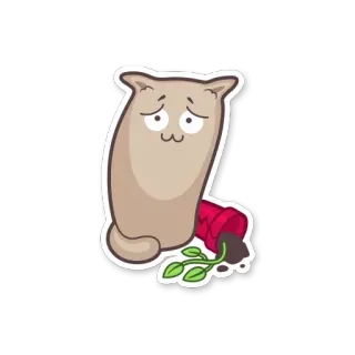 😥 gatto, arrabbiato, triste, pianta, vaso di fiori, incidente telegram sticker