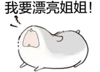 😖 我要漂亮姐姐! mignon, animal, chinois, autocollant, drôle whatsapp sticker