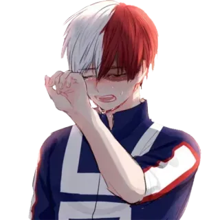 😭 Shoto Todoroki My Hero Academia Shoto Todoroki, My Hero Academia, Anime, weinen, traurig, Charakter whatsapp sticker