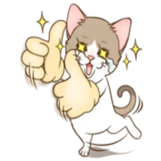 👍 kucing, jempol ke atas, berkilau, persetujuan, imut, bahagia telegram sticker