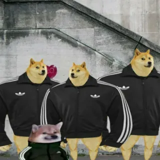 😐 doge, 밈, 아디다스, 개, 스포츠웨어, 웃긴 telegram sticker