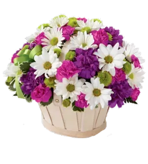 🌹 flowers, bouquet, daisies, carnations, basket, floral arrangement whatsapp sticker