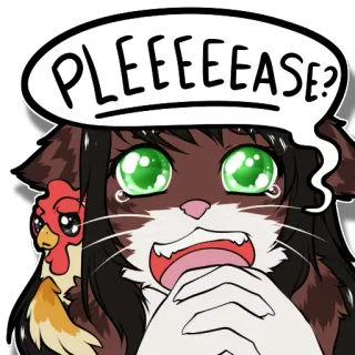 😢 PLEEEEEEASE? cat, pleading, cute, cartoon, animal, chicken, begging telegram sticker