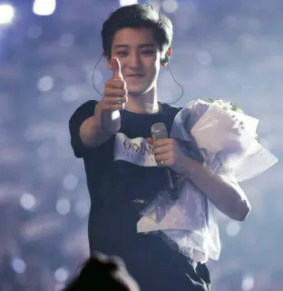 🌙 EXO K-pop, Exo, Polegar para cima, Cantor, Artista telegram sticker