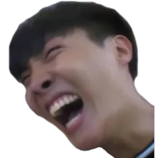 😂 밈, 반응, 표정, 비명, 외침, 감정적인 whatsapp sticker