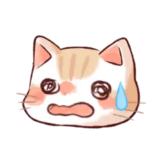 😨 кот, встревоженный, каваий, стикер, милый whatsapp sticker