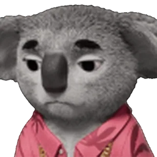 🐨