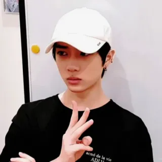 🐻 acmé de la vie ADLV orang, pria, topi putih, kaos hitam, acme de la vie, ADLV whatsapp sticker
