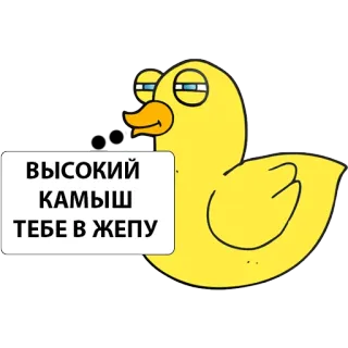 👌 ВЫСОКИЙ
КАМЫШ
ТЕБЕ В ЖЕПУ Ente, Beleidigung, Russisch, Cartoon, Tier whatsapp sticker