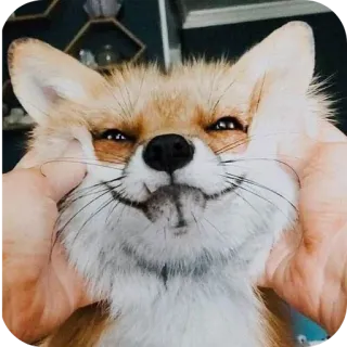 😃 telegram sticker