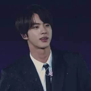 🐹 Jin kpop, idol, musik, sänger, person, mann, asiatisch telegram sticker