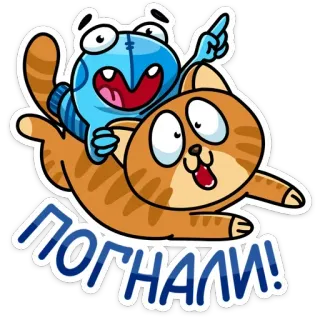 🏃‍♂️ ПОГНАЛИ! кот, лягушка, животные, мультфильм, милый whatsapp sticker