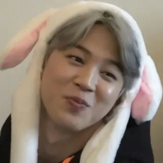 🍁 Jimin kpop, jimin, kelinci, imut, idola, penyanyi whatsapp sticker