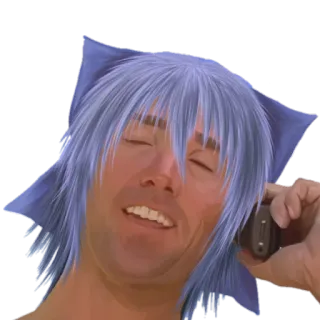 🍙 homem, peruca, orelhas de gato, celular, retrato, meme telegram sticker