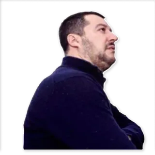 🤔 Matteo Salvini politico, italia, europeo, politica, governo telegram sticker