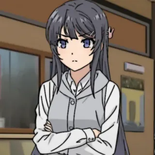 🐰 Mai Sakurajima Rascal Does Not Dream of Bunny Girl Senpai 애니메이션, 캐릭터, 바니걸 선배, 마이 사쿠라지마, 귀여운, 진지한 whatsapp sticker