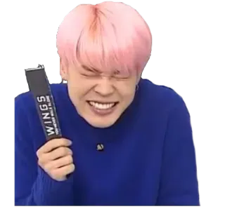 😆 WINGS 사람, 남자, 핑크 머리, kpop, 날개 whatsapp sticker