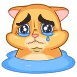😥 cat, sad, crying, tears, cartoon, animal, emotion telegram sticker
