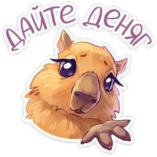 😘 Дайте денег капибара, милый, просит, деньги, смешной telegram sticker