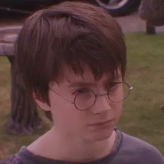 🦊 Harry Potter harry potter, daniel radcliffe, mago, niño whatsapp sticker