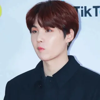 🐚 Suga kpop, idol, musicista, cantante, celebrità, bts, min yoongi telegram sticker