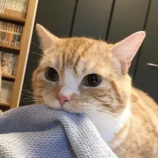 🙂 telegram sticker