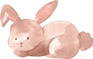 🐰 Hase, Kaninchen, Tier, Aquarell, süß whatsapp sticker