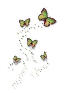 🦋 bướm, thiên nhiên, côn trùng, nhiều màu sắc, bay telegram sticker