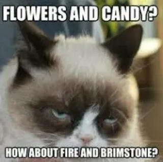 🔥 Grumpy Cat FLOWERS AND CANDY?
HOW ABOUT FIRE AND BRIMSTONE? 暴躁猫, 梗, 讽刺, 猫, 幽默, 网络迷因 whatsapp sticker