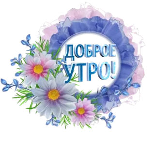 🍭 ДОБРОЕ УТРО! flowers, greeting, доброе утро, good morning telegram sticker