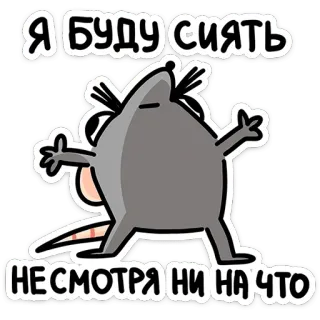 🐭 Я БУДУ СИЯТЬ
НЕСМОТРЯ НИ НА ЧТО cartone animato, topo, lucentezza, positivo, motivazione telegram sticker