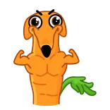 Морковчик @FOXDIZIGNERLIFE telegram stickers