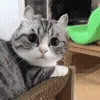 ❔