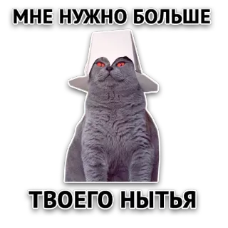😈 МНЕ НУЖНО БОЛЬШЕ ТВОЕГО НЫТЬЯ gatto, divertente, meme, russo, adesivo telegram sticker