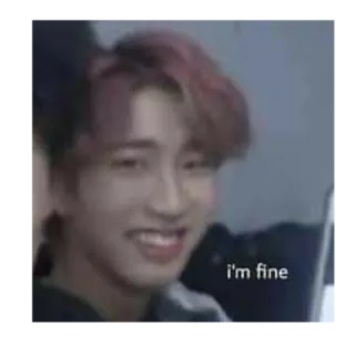 😭 I'm fine 表情包, 搞笑, 人像, 表情, 讽刺 telegram sticker