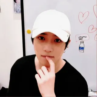 🐻 whatsapp sticker