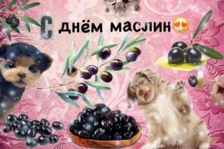 🧆 С днем маслин olives, puppy, kitten, holiday, celebration telegram sticker
