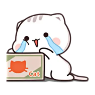 😭 Cat cat, animal, crying, sad, cartoon, box telegram sticker