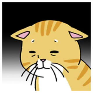 🐈 cat, animal, cartoon, cute, pet, feline, tiger telegram sticker