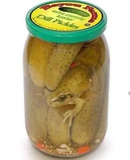 🥒 grenouille, cornichon, bocal, conserve, nourriture whatsapp sticker