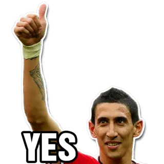 👍 YES Палец вверх, Согласен, Подтверждаю, Позитив, Да telegram sticker
