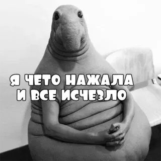 😇 Я ЧЕТО НАЖАЛА И ВСЕ ИСЧЕЗЛО тюлень, мем, текст, русский telegram sticker