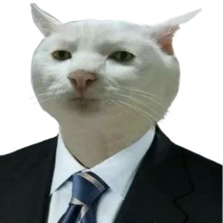 👨‍⚖️ 고양이, 정장, 넥타이, 비즈니스, 밈, 웃긴, 동물 telegram sticker