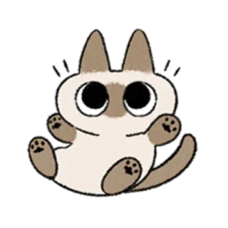😺 gato, animal, fofo, kawaii, desenho animado telegram sticker